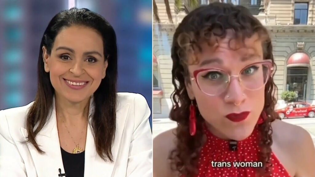 Lefties losing it: Sky News host fact checks trans activist