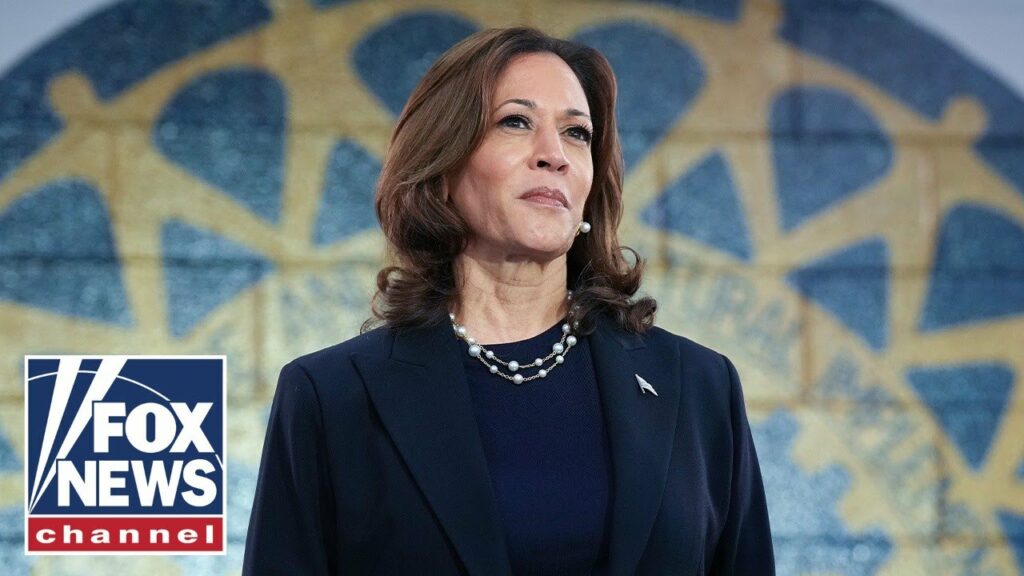 ‘COPYCAT KAMALA’: Harris rips off one of Trump’s campaign proposals