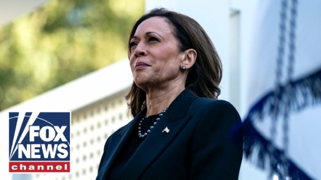 SCARED TO DEATH’: Democrats in panic mode over Kamala Harris