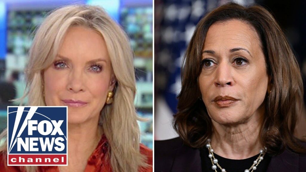 Perino: Democrats have no one to blame but themselves