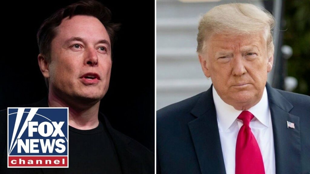 Elon Musk joined call between Trump and Zelenskyy, Fox confirms