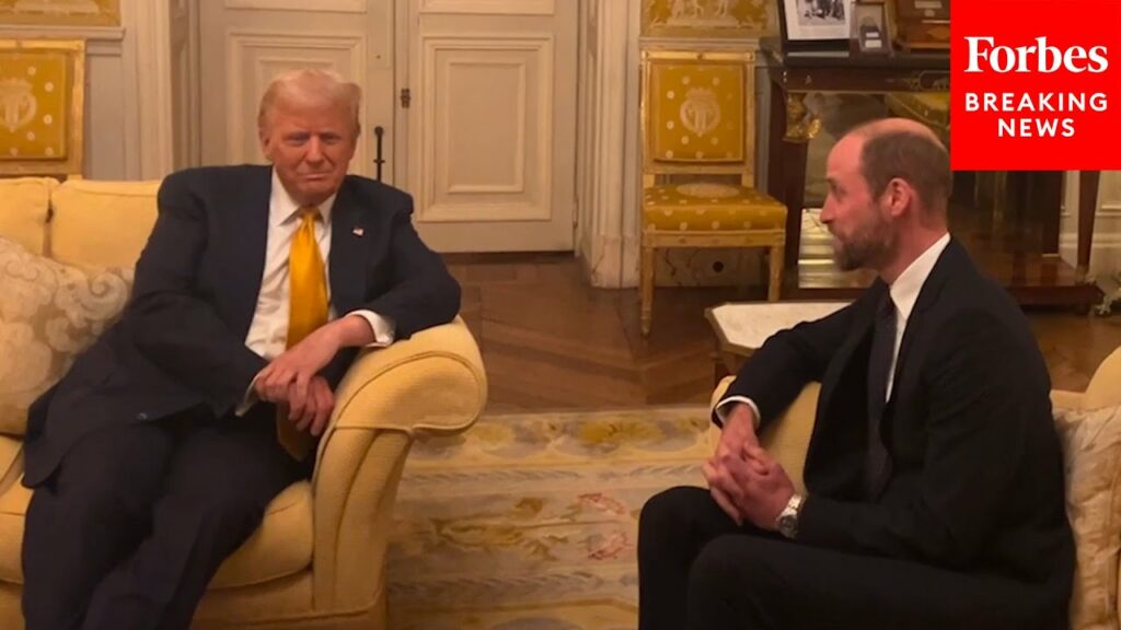 Good Man, This One’: Trump Meets With Prince William After Notre-Dame Cathedral Reopening