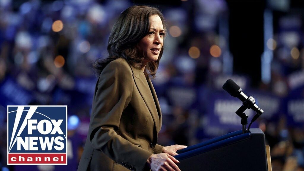 New details revealed on how Kamala Harris fumbled key media strategy