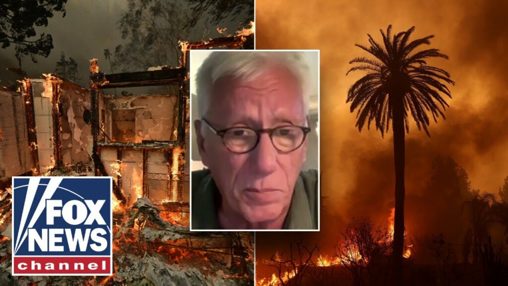 James Woods rips ‘blithering idiot’ Newsom after losing home in wildfire