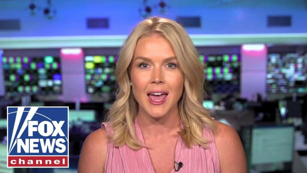 Leavitt SLAMS Dems: ‘Completely lost their minds’