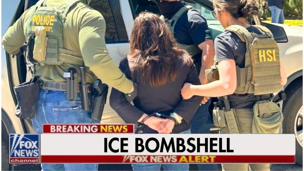 Illegal  Immigrant Stages Fake ICE Kidnapping – NOW She’s getting DEPORTED!!