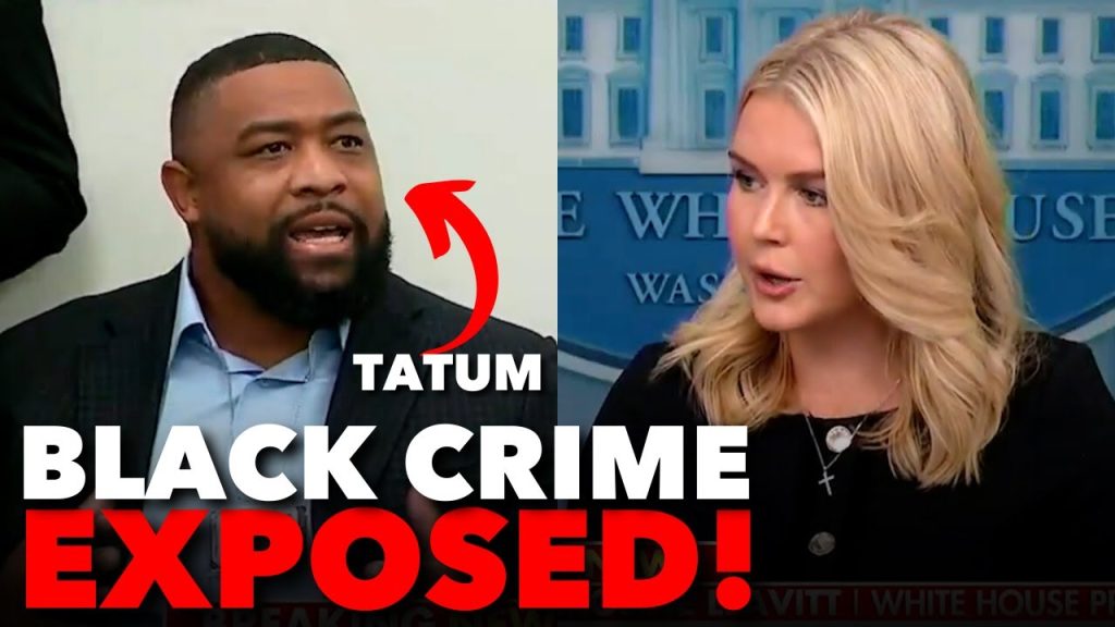 Black Conservative EXPOSES Black on Black Crime At The WHITE HOUSE Black Conservative EXPOSES Black on Black Crime At The WHITE HOUSE
