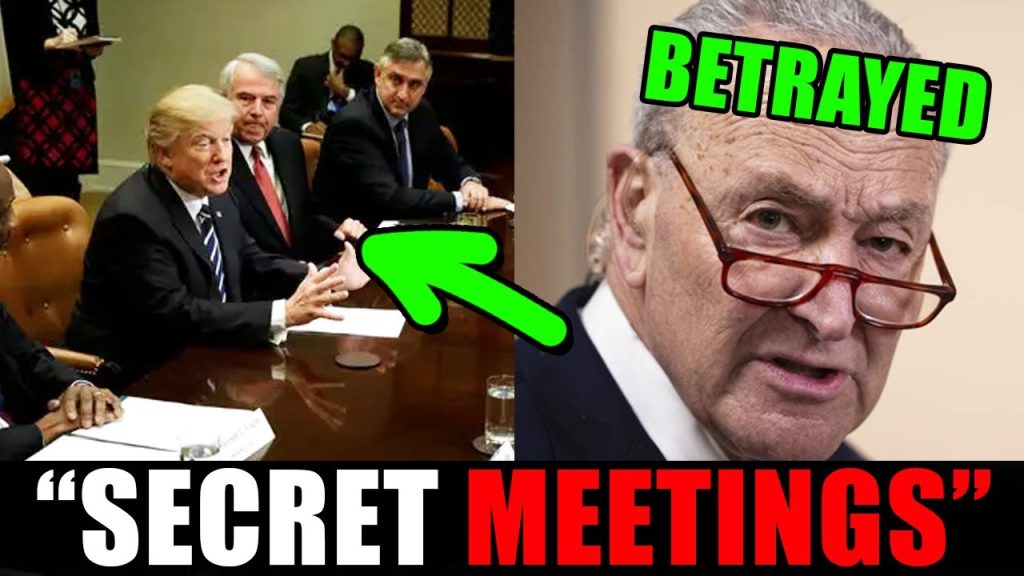 Democrats going behind leadership’s back to WORK WITH TRUMP!!!