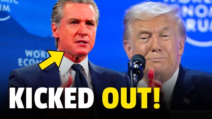 maxresdefault-985 Gavin Newsom DEVASTATED After CALLING OUT Trump in Davos BACKFIRES!