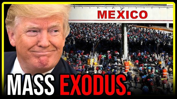 Trump ACTUALLY DID IT...