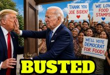 THEY LIED… but TRUMP Caught Them! THEY LIED… but TRUMP Caught Them!