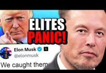 Democrats LOSE IT After TRUMP and ELON MUSK Threaten DOOMSDAY After California Election Insanity!