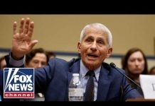 NEW DETAILS emerge after secret Fauci files are declassified