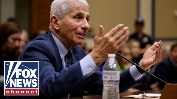 Watters: Fauci knew he BLEW IT