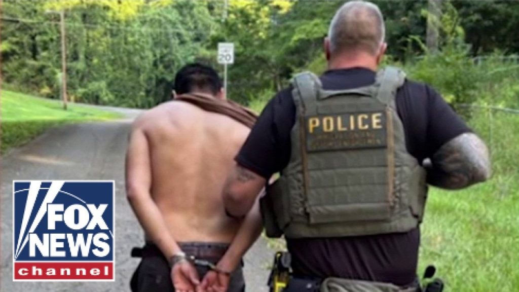 EXCLUSIVE: ICE arrests over 1,200 illegal migrants in Georgia operation